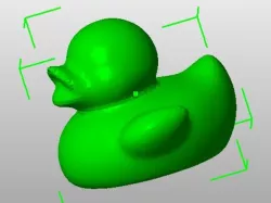 Duck