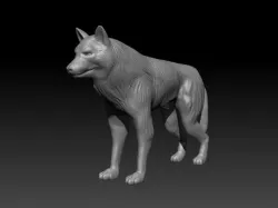 Fantasy wolf miniature