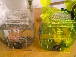 Fishbowl Fortress