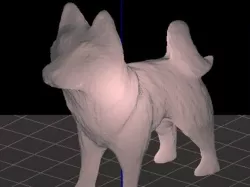 Husky Fixed Feet