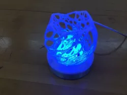 IEEE Lamp Workshop