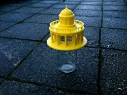Insect Pitfall Trap