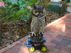 Robot Owl