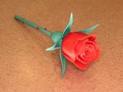 Rose with Stem & Thorns & Sepals & Hip for Valentine's Day