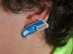 Seattle Seahawks Earrings (needs studs)