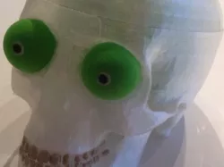Skull with brain
