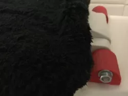 Toilet seat bracket