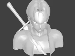 Trunks Bust