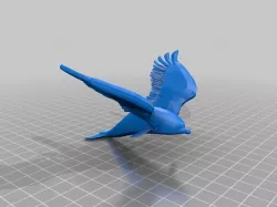 Angelic dolphin