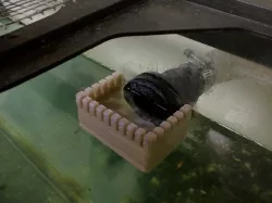Aquarium Overflow