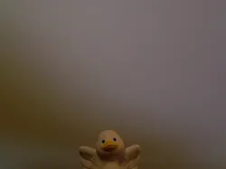 Duckie