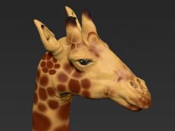 giraffe zbrush 3d models 【 STLFinder