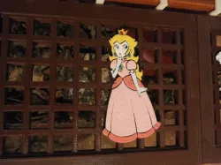 Grid to protect the turtle before the cat / Kratka chroniąca żółwia przed kotem (Mario, Peach, Link, Sonic)