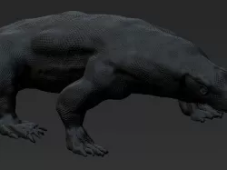 komodo dragon