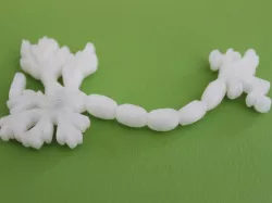 Neuron