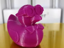 Professor McDuckley