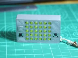 snake box