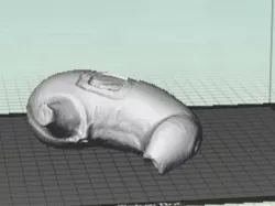 Stomach