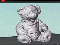 Teddy bear
