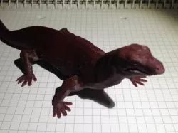 The Forest Lizard