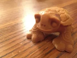 Turtle Fritz