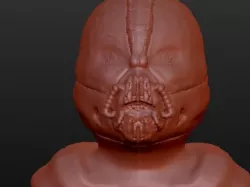 Bane Bust (The Dark Knight Rises)