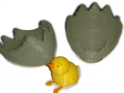 Easter egg and chick