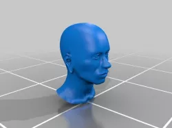 face