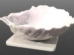 Large Shell Tray