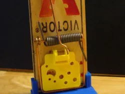 Mouse trap stand