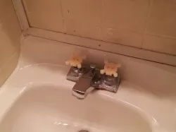 Nick's Replacement Faucet