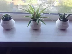 Planter