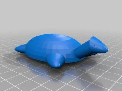 Sea Turtle