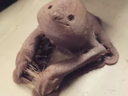 Slothy