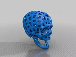 Voronoi Skull with ?cerebral room?