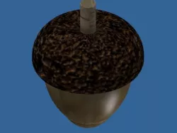 Acorn toy top