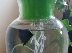 Betta planter pot