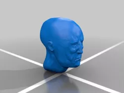 Blank Head Template