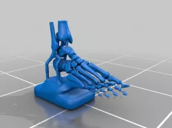 BOnes