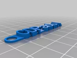 CD Padul Keychain