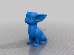 Chihuahua