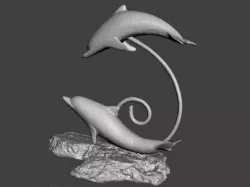 Dolphins