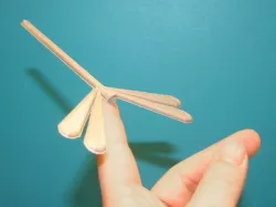 Dragonfly in balance