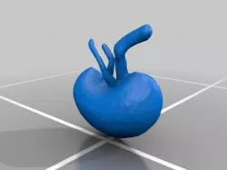 kidney cross section