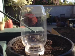 Mini Garden Greenhouse