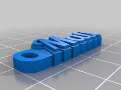 My Customized HD Font Keychain (700 fonts)