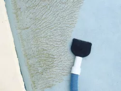 Pool Vacuum for the Shallow end