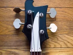 Rickenbacker 4001/4003 Bass Guitar Truss Rod Cover