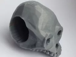 SkullHandleBar