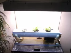 10 Gallon Aquaponic Light Holder